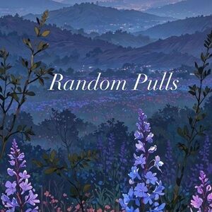 RANDOM PULLS XS-XXL #6